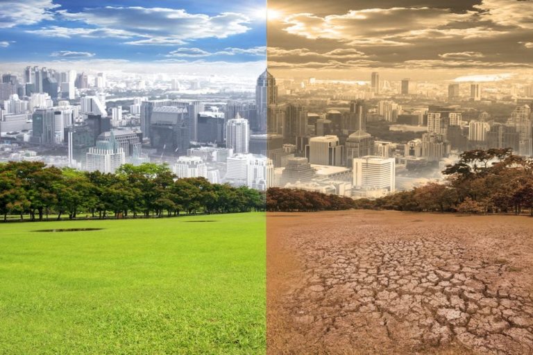 Photomontage Shutterstock