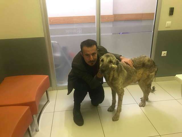 Crystal Jean Nixon Carson