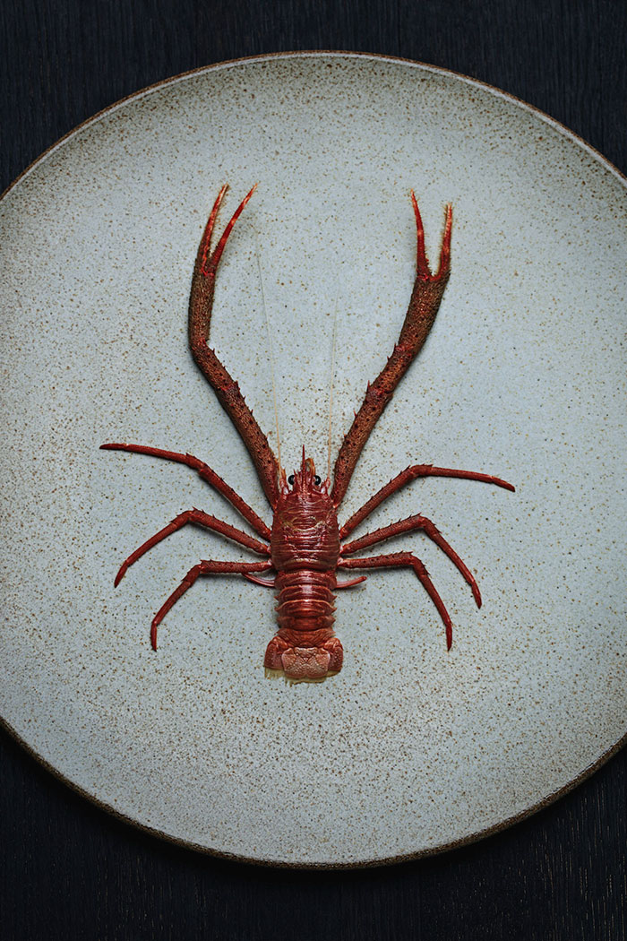 Foto por  https://under.no/