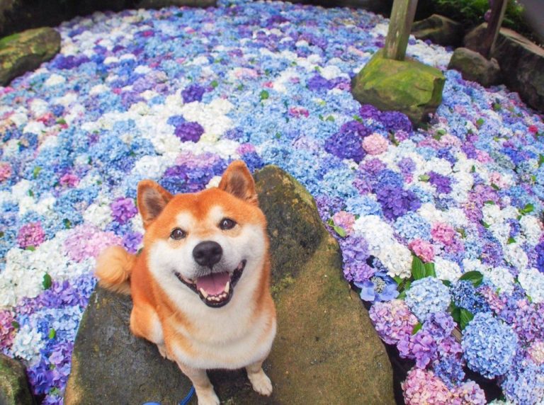 Cr ISSYRIDER@Instagram