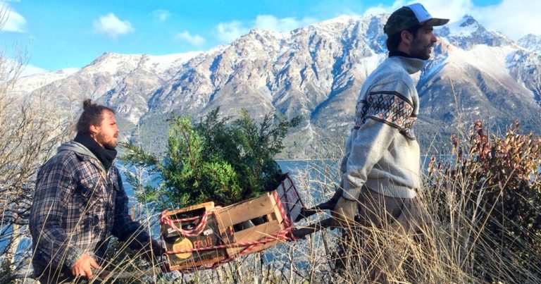 No disponible No disponible