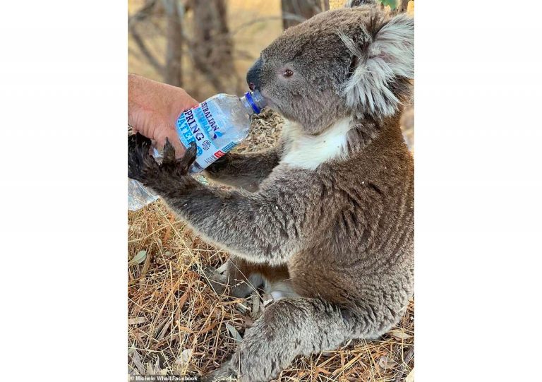 Photo by Michelle Whall Photo by Michelle Whall