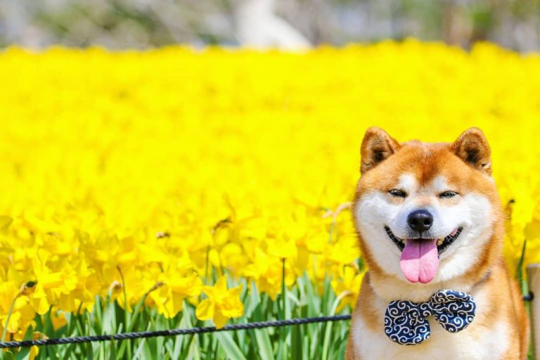 Cr ISSYRIDER@Instagram