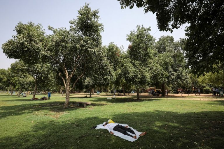 LYNXMPEFAK1F4.jpg,Un hombre duerme bajo la sombra de un árbol en un caluroso día de verano en un parque público de Nueva Delhi, India, 13 junio 2019.
REUTERS/Anushree Fadnavis ; Crédito: Anushree Fadnavis, Reuters