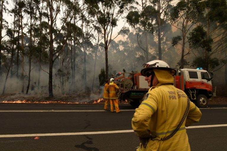 LYNXMPEG0517X.jpg,Los voluntarios del Servicio de Bomberos Rurales y funcionarios de Bomberos y de Rescate contienen un pequeño incendio forestal en la Carretera de los Príncipes, al sur de Ulladulla, Australia. 5 de enero de 2020. AAP Image/Dean Lewins/via REUTERS.  ATENCIÓN EDITORES, ESTA IMAGEN FUE ENTREGADA POR UN TERCERO.; Crédito: Stringer ., Reuters