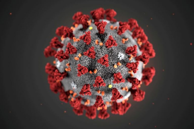 LYNXMPEG102U8.jpg,Morfología ultraestructural del nuevo coronavirus 2019 (2019-nCoV) en una ilustración de los Centros para el Control y la Prevención de Enfermedades (CDC) de Estados Unidos. Alissa Eckert, MS; Dan Higgins, MAM/CDC/vía REUTERS.  ATENCIÓN EDITORES -  ESTA IMAGEN HA SIDO ENTREGADA POR UN TERCERO. NO DISPONIBLE PARA REVENTA NI ARCHIVO. CREDITO OBLIGATORIO La imagen fue procesada para mejorar la calidad, Reuters pone a disposición otra imagen sin tratar.; Crédito: Handout ., Reuters