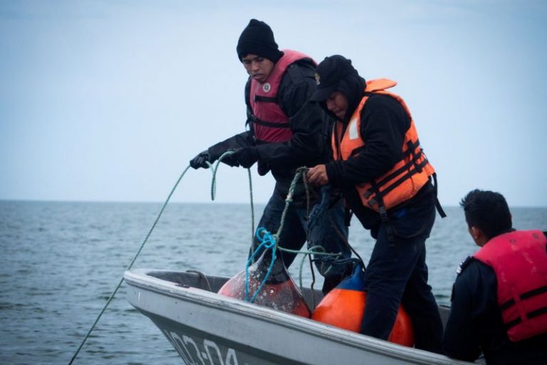 LYNXMPEG231BT.jpg,Imagen de archivo. La tripulación de Sea Shepherd rescata a las ballenas jorobadas que se enredaron en una red de pesca dentro del refugio de la vaquita, en San Felipe, Baja California, México. 24 de febrero de 2020. SEA SHEPHERD/ Vía Reuters. ESTA IMAGEN HA SIDO SUMINISTRADA POR TERCEROS. CREDITO OBLIGATORIO; Crédito: SEA SHEPHERD, Reuters