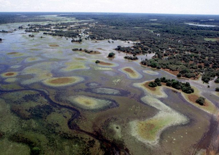 LYNXMPEG7K1AX.jpg,Imagen de archivo. Vista aérea de Pantanal, Brasil, octubre 93; Crédito: Gregg Newton, Reuters