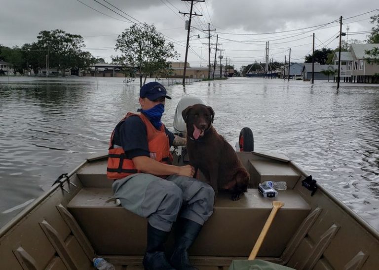 LYNXMPEG7R1CS.jpg,Un efectivo de la guardia costera rescata a un perro de las calles inundadas en Delcambre, Luisiana, después del paso de la tormenta Laura. U.S. Coast Guard/Handout via REUTERS. ATENCIÓN EDITORES: ESTA IMAGEN FUE PROVISTA POR UNA TERCERA PARTE.; Crédito: US COAST GUARD, Reuters LYNXMPEG7R1CS.jpg,Un efectivo de la guardia costera rescata a un perro de las calles inundadas en Delcambre, Luisiana, después del paso de la tormenta Laura. U.S. Coast Guard/Handout via REUTERS. ATENCIÓN EDITORES: ESTA IMAGEN FUE PROVISTA POR UNA TERCERA PARTE.; Crédito: US COAST GUARD, Reuters