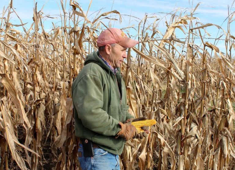 LYNXMPEG7R1JY.jpg,FOTO DE ARCHIVO. El agricultor de maíz y soja Don Swanson se prepara para cosechar su cosecha de maíz, en Eldon, Iowa, Estados Unidos. 4 de octubre de 2019. REUTERS/Kia Johnson; Crédito: Kia Johnson, Reuters LYNXMPEG7R1JY.jpg,FOTO DE ARCHIVO. El agricultor de maíz y soja Don Swanson se prepara para cosechar su cosecha de maíz, en Eldon, Iowa, Estados Unidos. 4 de octubre de 2019. REUTERS/Kia Johnson; Crédito: Kia Johnson, Reuters