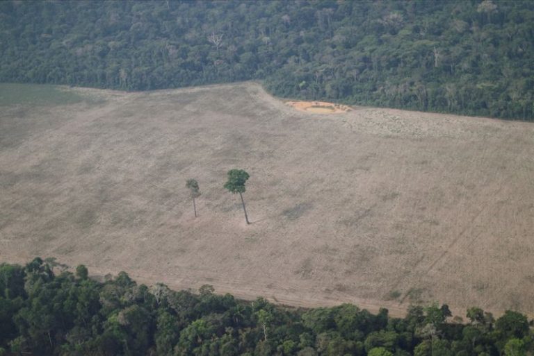 LYNXMPEG7R1P8-1.jpg,FOTO DE ARCHIVO: Área deforestada de la selva amazónica cerca de Porto Velho
14/08/2020
REUTERS/Ueslei Marcelino; Crédito: UESLEI MARCELINO, Reuters