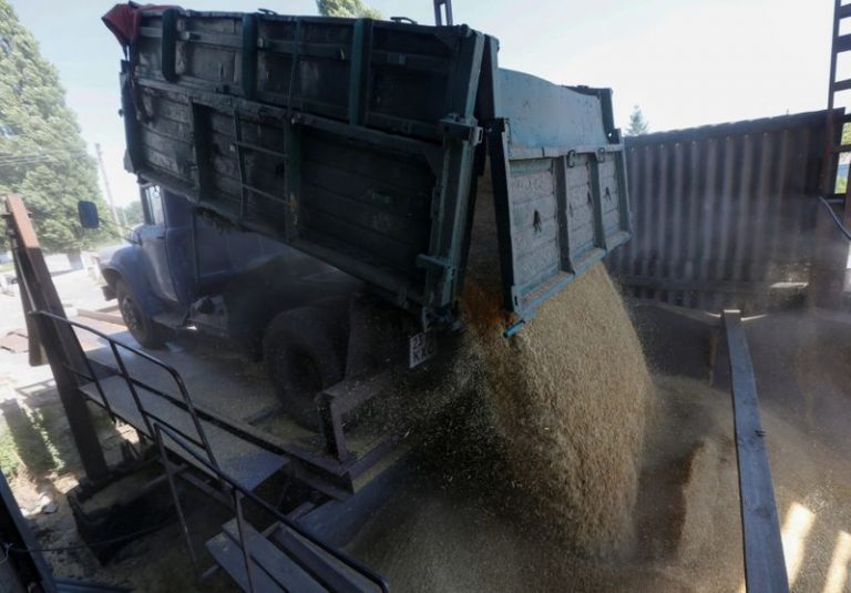 LYNXMPEG8315S.jpg,Imagen de archivo de un conductor descargando su camión en un almacen de granos durante la cosecha de cebada en el pueblo de Zhotneve, Ucrania. 14 de julio, 2016. REUTERS/Valentyn Ogirenko/Archivo; Crédito: Valentyn Ogirenko, Reuters LYNXMPEG8315S.jpg,Imagen de archivo de un conductor descargando su camión en un almacen de granos durante la cosecha de cebada en el pueblo de Zhotneve, Ucrania. 14 de julio, 2016. REUTERS/Valentyn Ogirenko/Archivo; Crédito: Valentyn Ogirenko, Reuters