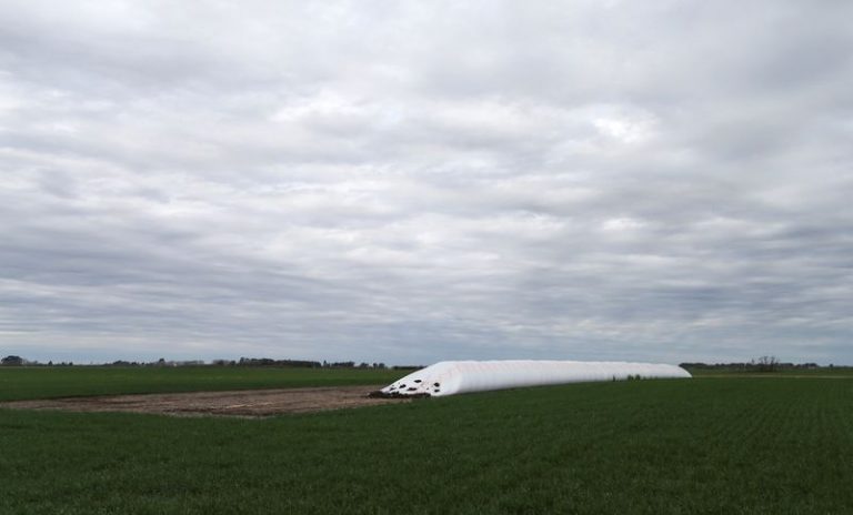 LYNXMPEG8717M.jpg,Foto de archivo: imagen de un silo con trigo en un campo en Azul, en la provincia de Buenos Aires. 30 sept, 2019.  REUTERS/Agustin Marcarian; Crédito: AGUSTIN MARCARIAN, Reuters
