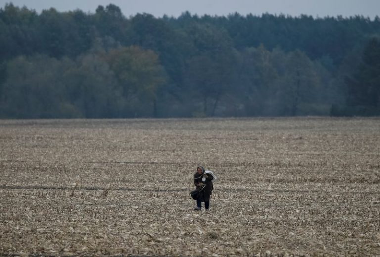 LYNXMPEG8718K.jpg,Foto de archivo de una mujer cosechando maíz cerca de la localidad ucraniana de Krupets. 
Oct 21, 2016.  REUTERS/Gleb Garanich; Crédito: GLEB GARANICH, Reuters
