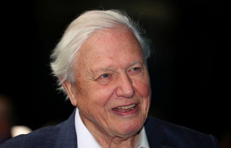LYNXMPEG8T1P6.jpg,El locutor y cineasta David Attenborough asiste al estreno de Blue Planet II en el British Film Institute de Londres, Gran Bretaña, 27 septiembre 2017.
REUTERS/Hannah McKay; Crédito: HANNAH MCKAY, Reuters LYNXMPEG8T1P6.jpg,El locutor y cineasta David Attenborough asiste al estreno de Blue Planet II en el British Film Institute de Londres, Gran Bretaña, 27 septiembre 2017.
REUTERS/Hannah McKay; Crédito: HANNAH MCKAY, Reuters