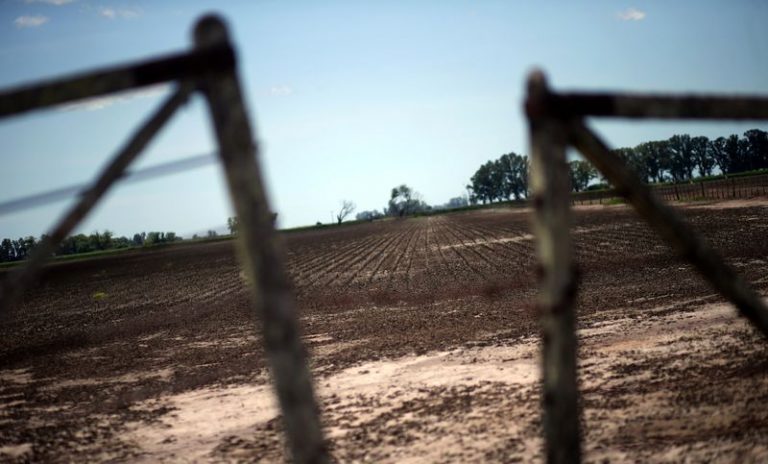 LYNXNPEG8M1FY.jpg,Foto de archivo -Se ve un campo de soja después de que fue afectado por las inundaciones cerca de Pergamino, Argentina, Jan 23, 2017. REUTERS/Marcos Brindicci; Crédito: Marcos Brindicci, Reuters