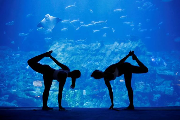 LYNXMPEG971WT.jpg,Gente participa en una clase de yoga en el acuario de Ocean Park, como una nueva actividad para atraer visitantes en medio de una caída de turistas debido al brote de la enfermedad del coronavirus (COVID-19), en Hong Kong. 8 de octubre de 2020. REUTERS/Tyrone Siu; Crédito: TYRONE SIU, Reuters LYNXMPEG971WT.jpg,Gente participa en una clase de yoga en el acuario de Ocean Park, como una nueva actividad para atraer visitantes en medio de una caída de turistas debido al brote de la enfermedad del coronavirus (COVID-19), en Hong Kong. 8 de octubre de 2020. REUTERS/Tyrone Siu; Crédito: TYRONE SIU, Reuters