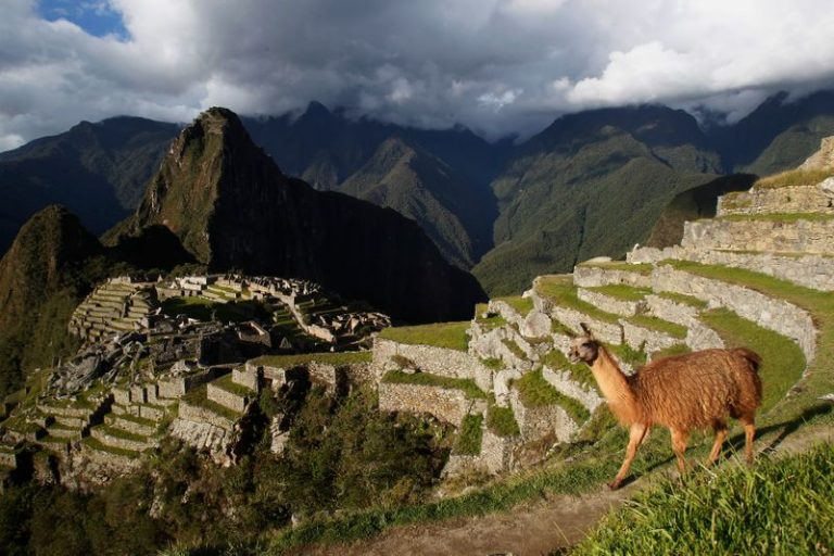 LYNXMPEG9B1JF.jpg,IMAGEN DE ARCHIVO. Una llama se ve cerca de la ciudadela Inca de Machu Pichu, en Cusco, Perú, Diciembre 2, 2014. REUTERS/Enrique Castro-Mendivil ; Crédito: ENRIQUE CASTRO-MENDIVIL, Reuters