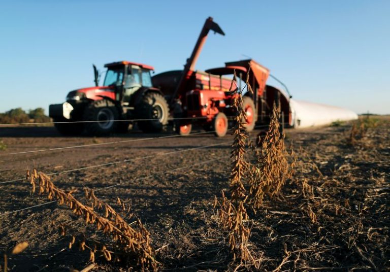 LYNXMPEG9B1JL.jpg,IMAGEN DE ARCHIVO. Plantas de soja se ven frente a un camión que descarga soja en silo bolsa en una granja en Chivilcoy, en las afueras de Buenos Aires, Argentina. Abril 8, 2020.  REUTERS/Agustin Marcarian; Crédito: AGUSTIN MARCARIAN, Reuters LYNXMPEG9B1JL.jpg,IMAGEN DE ARCHIVO. Plantas de soja se ven frente a un camión que descarga soja en silo bolsa en una granja en Chivilcoy, en las afueras de Buenos Aires, Argentina. Abril 8, 2020.  REUTERS/Agustin Marcarian; Crédito: AGUSTIN MARCARIAN, Reuters
