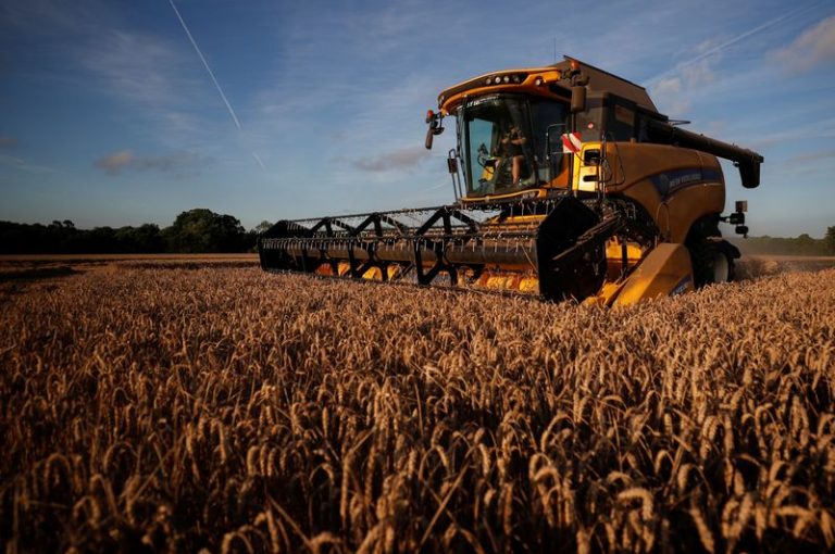 LYNXMPEG9E1BL.jpg,FOTO DE ARCHIVO. Un agricultor francés conduce maquinaria mientras cosecha trigo en su campo, en Chateau-Thebaud, Francia. 9 de julio de 2020. REUTERS/Stephane Mahe; Crédito: STEPHANE MAHE, Reuters