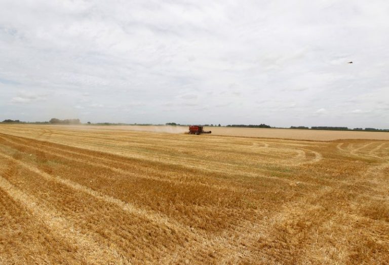 LYNXMPEG9E1GK.jpg,Cosechadora en un campo de trigo en el pueblo de General Belgrano. Buenos Aires. Argentina. Foto de archivo Dic18 2012.   REUTERS/Enrique Marcarian (ARGENTINA ; Crédito: Enrique Marcarian, Reuters