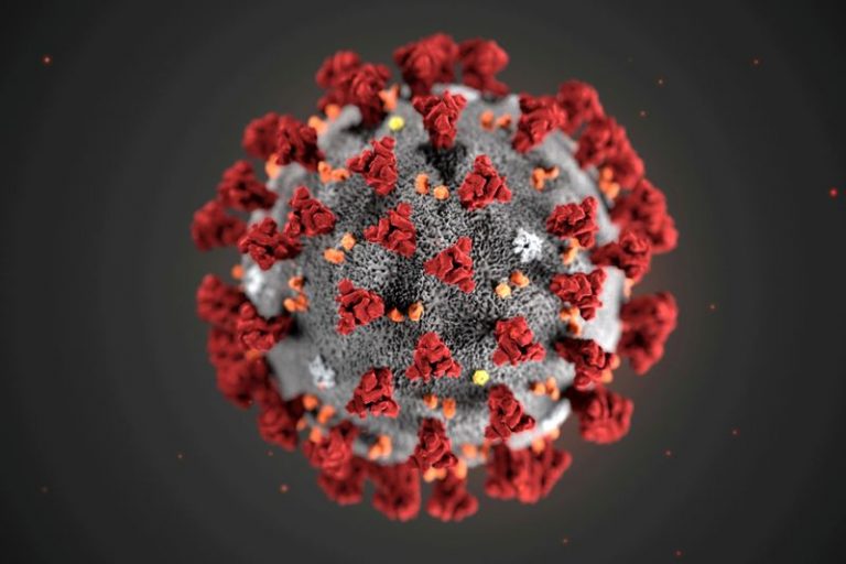 LYNXMPEG9F12Z.jpg,FILE PHOTO: The ultrastructural morphology exhibited by the 2019 Novel Coronavirus (2019-nCoV), which was identified as the cause of an outbreak of respiratory illness first detected in Wuhan, China, is seen in an illustration released by the Centers for Disease Control and Prevention (CDC) in Atlanta, Georgia, U.S. January 29, 2020. Alissa Eckert, MS; Dan Higgins, MAM/CDC/Handout via REUTERS.  ; Crédito: Handout ., Reuters