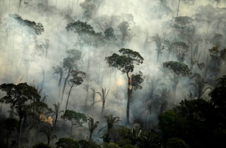 LYNXMPEG9S1I2.jpg,Foto de archivo. Incendios en un área de la selva amazónica cerca de Porto Velho, Rondonia, Brasil. 10 de septiembre de 2019. REUTERS/Bruno Kelly/; Crédito: Bruno Kelly, Reuters LYNXMPEG9S1I2.jpg,Foto de archivo. Incendios en un área de la selva amazónica cerca de Porto Velho, Rondonia, Brasil. 10 de septiembre de 2019. REUTERS/Bruno Kelly/; Crédito: Bruno Kelly, Reuters