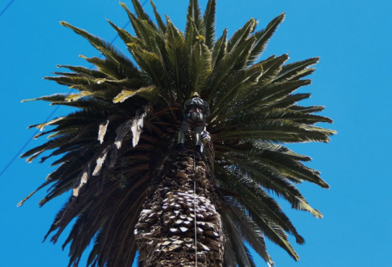 Screen Shot 2022-09-12 at 5.10.55 PM Screen Shot 2022-09-12 at 5.10.55 PM